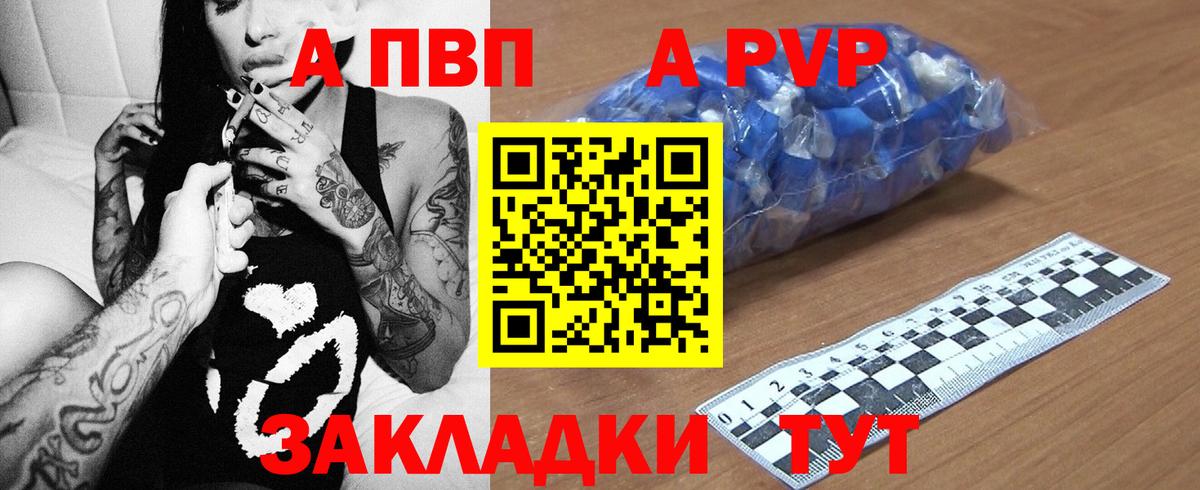 Alfa_PVP СК Камень-на-Оби