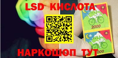 прущие грибы Кулебаки