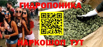 прущие грибы Кулебаки
