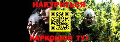 прущие грибы Кулебаки