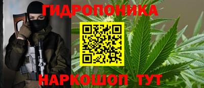 прущие грибы Кулебаки