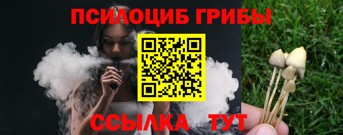 Камень-на-Оби  Псилоцибиновые грибы MAGIC MUSHROOMS  купить  сайты  Вход с VPN 